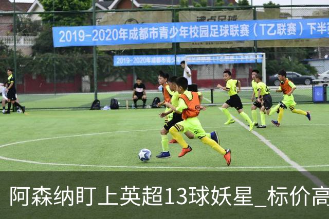 阿森纳盯上英超13球妖星 标价高达1.3亿英镑 想买？今夏基本没戏
